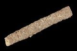 Fulgurite - Petrified Lightning #90356-1